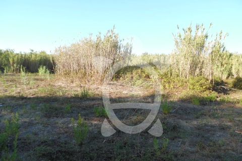Helårsgrund i Condeixa-a-Nova, Coimbra, Condeixa-a-Nova - € 449.500 | Ref: cdx0136 - foto 1