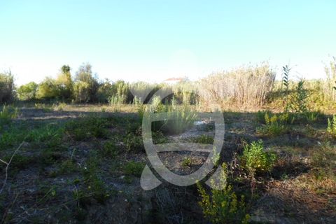 Helårsgrund i Condeixa-a-Nova, Coimbra, Condeixa-a-Nova - € 449.500 | Ref: cdx0136 - foto 2