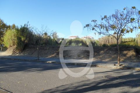 Helårsgrund i Condeixa-a-Nova, Coimbra, Condeixa-a-Nova - € 449.500 | Ref: cdx0136 - foto 3