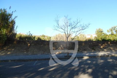 Helårsgrund i Condeixa-a-Nova, Coimbra, Condeixa-a-Nova - € 449.500 | Ref: cdx0136 - foto 4