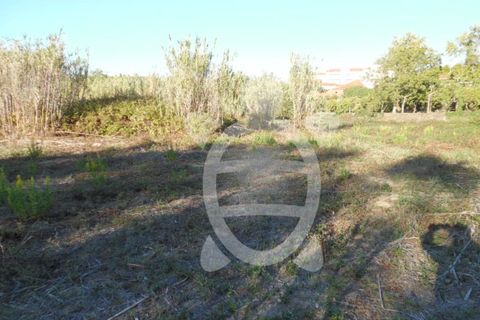 Helårsgrund i Condeixa-a-Nova, Coimbra, Condeixa-a-Nova - € 449.500 | Ref: cdx0136 - foto 5