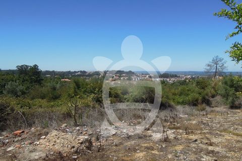 Helårsgrund i Coimbra, Coimbra, Coimbra - € 349.000 | Ref: cbr1092 - foto 3
