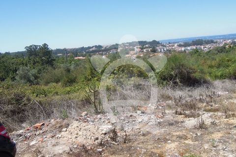 Helårsgrund i Coimbra, Coimbra, Coimbra - € 349.000 | Ref: cbr1092 - foto 5