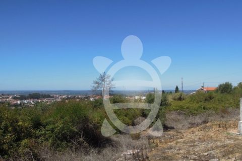Helårsgrund i Coimbra, Coimbra, Coimbra - € 349.000 | Ref: cbr1092 - foto 6
