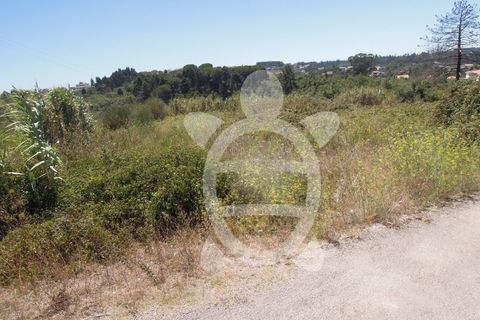 Helårsgrund i Coimbra, Coimbra, Coimbra - € 349.000 | Ref: cbr1092 - foto 7