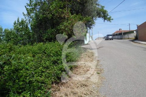 Tomt i Cernache, Coimbra, Cernache - € 34 500 | Ref: cbr0908 - foto 3