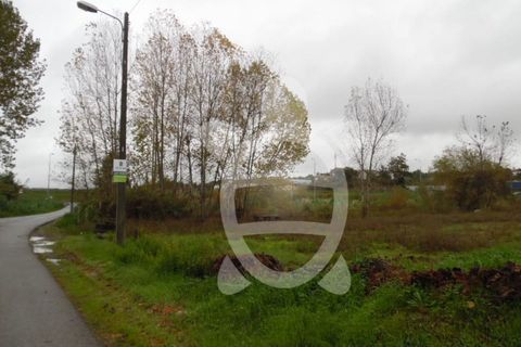 Helårsgrund i Coimbra, Coimbra, Coimbra - € 135.000 | Ref: cbr0721 - foto 2