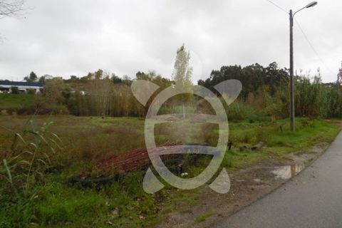 Helårsgrund i Coimbra, Coimbra, Coimbra - € 135.000 | Ref: cbr0721 - foto 3