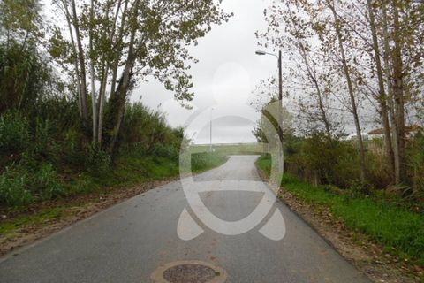 Helårsgrund i Coimbra, Coimbra, Coimbra - € 135.000 | Ref: cbr0721 - foto 4