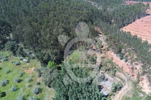 Helårsgrund i Miranda do Corvo, Coimbra, Miranda do Corvo - € 30.000 | Ref: cbr0674 - foto 2