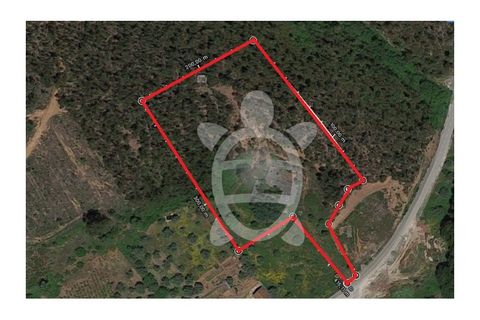 Helårsgrund i Miranda do Corvo, Coimbra, Miranda do Corvo - € 30.000 | Ref: cbr0674 - foto 3