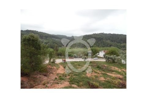 Helårsgrund i Miranda do Corvo, Coimbra, Miranda do Corvo - € 30.000 | Ref: cbr0674 - foto 5