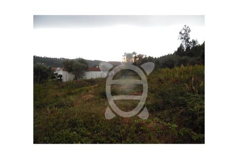 Helårsgrund i Miranda do Corvo, Coimbra, Miranda do Corvo - € 30.000 | Ref: cbr0674 - foto 6