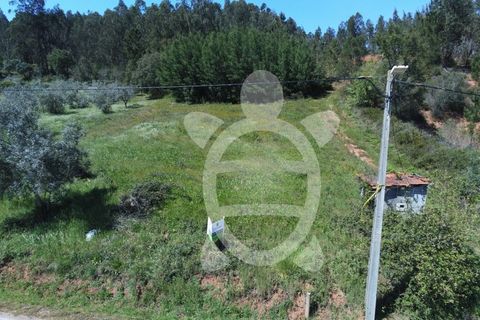 Helårsgrund i Miranda do Corvo, Coimbra, Miranda do Corvo - € 20.000 | Ref: cbr0672 - foto 3