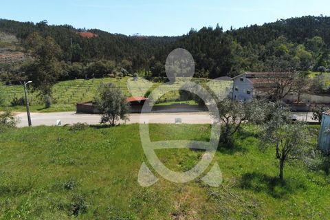 Helårsgrund i Miranda do Corvo, Coimbra, Miranda do Corvo - € 20.000 | Ref: cbr0672 - foto 4