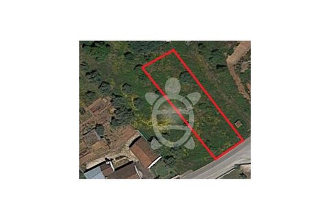 Helårsgrund i Miranda do Corvo, Coimbra, Miranda do Corvo - € 20.000 | Ref: cbr0672 - foto 5