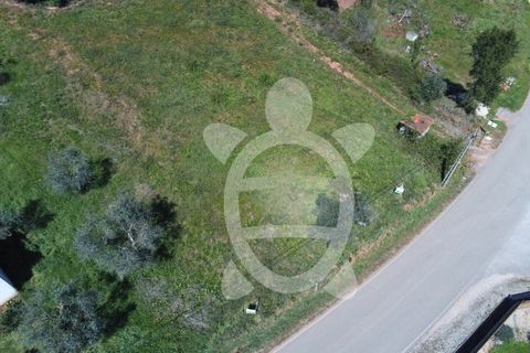 Helårsgrund i Miranda do Corvo, Coimbra, Miranda do Corvo - € 20.000 | Ref: cbr0672 - foto 6