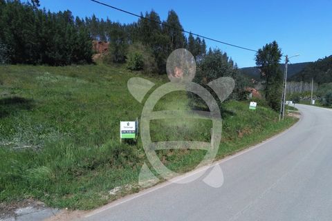 Helårsgrund i Miranda do Corvo, Coimbra, Miranda do Corvo - € 20.000 | Ref: cbr0672 - foto 7