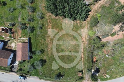 Helårsgrund i Miranda do Corvo, Coimbra, Miranda do Corvo - € 20.000 | Ref: cbr0672 - foto 10