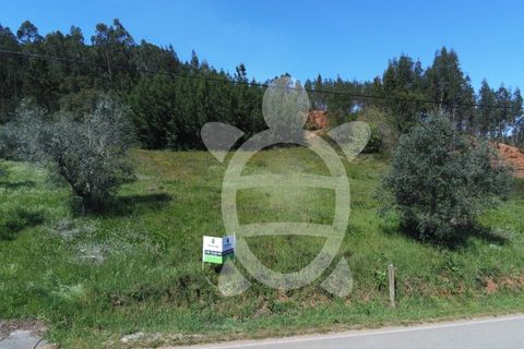 Helårsgrund i Miranda do Corvo, Coimbra, Miranda do Corvo - € 20.000 | Ref: cbr0672 - foto 13