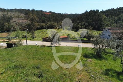 Helårsgrund i Miranda do Corvo, Coimbra, Miranda do Corvo - € 20.000 | Ref: cbr0672 - foto 14