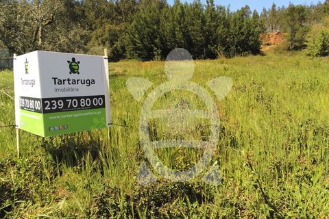 Helårsgrund i Miranda do Corvo, Coimbra, Miranda do Corvo - € 20.000 | Ref: cbr0672 - foto 16