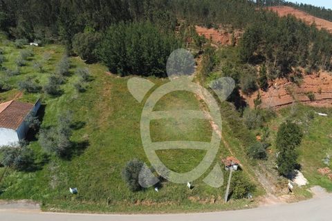 Helårsgrund i Miranda do Corvo, Coimbra, Miranda do Corvo - € 20.000 | Ref: cbr0673 - foto 5