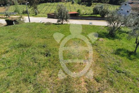 Helårsgrund i Miranda do Corvo, Coimbra, Miranda do Corvo - € 20.000 | Ref: cbr0673 - foto 11
