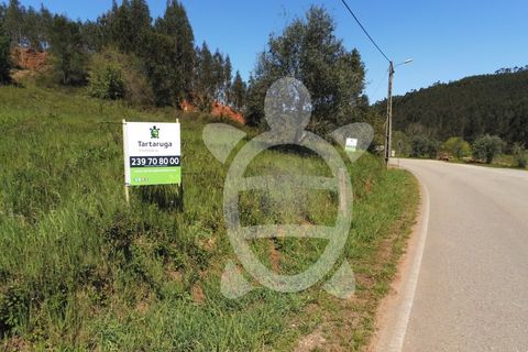 Helårsgrund i Miranda do Corvo, Coimbra, Miranda do Corvo - € 20.000 | Ref: cbr0673 - foto 12