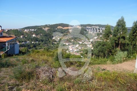 Tomt i Ceira, Coimbra, Ceira - € 69 500 | Ref: cbr0666 - foto 3