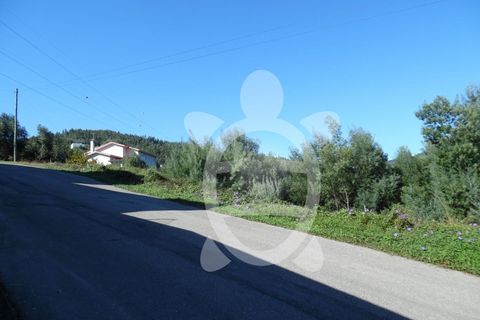 Helårsgrund i Coimbra, Coimbra, Coimbra - € 39.000 | Ref: cbr0639 - foto 1