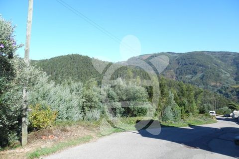 Helårsgrund i Coimbra, Coimbra, Coimbra - € 39.000 | Ref: cbr0639 - foto 2