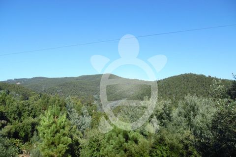 Helårsgrund i Coimbra, Coimbra, Coimbra - € 39.000 | Ref: cbr0639 - foto 3