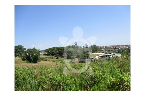 Helårsgrund i Coimbra, Coimbra, Coimbra - € 199.000 | Ref: cbr0565 - foto 3