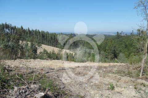 Helårsgrund i Coimbra, Coimbra, Coimbra - € 82.900 | Ref: cbr0534 - foto 3