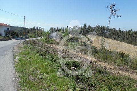 Helårsgrund i Coimbra, Coimbra, Coimbra - € 82.900 | Ref: cbr0534 - foto 4