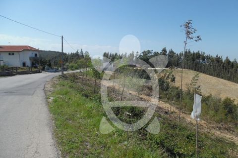 Helårsgrund i Coimbra, Coimbra, Coimbra - € 82.900 | Ref: cbr0534 - foto 5