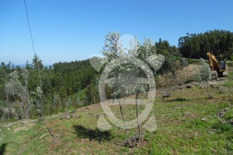 Helårsgrund i Coimbra, Coimbra, Coimbra - € 82.900 | Ref: cbr0534 - foto 6