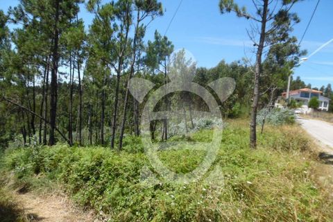 Helårsgrund i Coimbra, Coimbra, Coimbra - € 82.900 | Ref: cbr0534 - foto 7