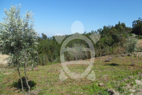 Helårsgrund i Coimbra, Coimbra, Coimbra - € 82.900 | Ref: cbr0534 - foto 8