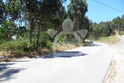 Helårsgrund i Coimbra, Coimbra, Coimbra - € 82.900 | Ref: cbr0534 - foto 9