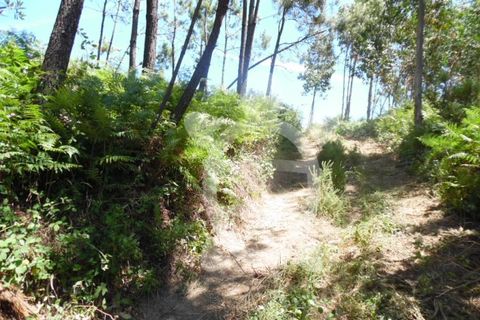 Helårsgrund i Coimbra, Coimbra, Coimbra - € 82.900 | Ref: cbr0534 - foto 10