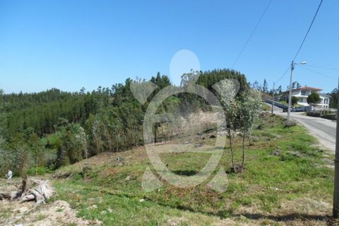 Helårsgrund i Coimbra, Coimbra, Coimbra - € 82.900 | Ref: cbr0534 - foto 11