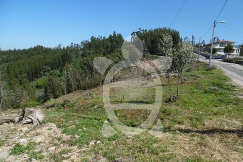 Helårsgrund i Coimbra, Coimbra, Coimbra - € 82.900 | Ref: cbr0534 - foto 12
