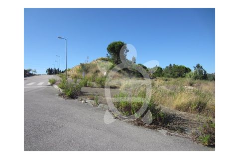 Helårsgrund i Cernache, Coimbra, Cernache - € 54.500 | Ref: cbr0527 - foto 3