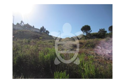 Helårsgrund i Cernache, Coimbra, Cernache - € 54.500 | Ref: cbr0527 - foto 5