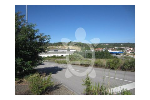 Helårsgrund i Cernache, Coimbra, Cernache - € 54.500 | Ref: cbr0527 - foto 6