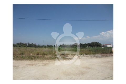 Helårsgrund i Condeixa-a-Nova, Coimbra, Condeixa-a-Nova - € 279.500 | Ref: cdx0038 - foto 3