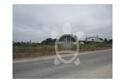 Helårsgrund i Condeixa-a-Nova, Coimbra, Condeixa-a-Nova - € 279.500 | Ref: cdx0038 - foto 4