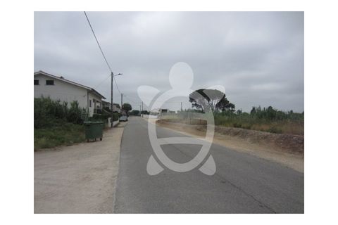Helårsgrund i Condeixa-a-Nova, Coimbra, Condeixa-a-Nova - € 279.500 | Ref: cdx0038 - foto 6